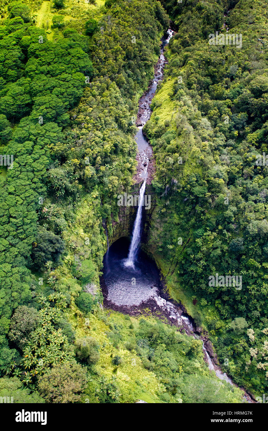 Vue aérienne de l'Akaka Falls sur Big Island, Hawaii, USA. Banque D'Images