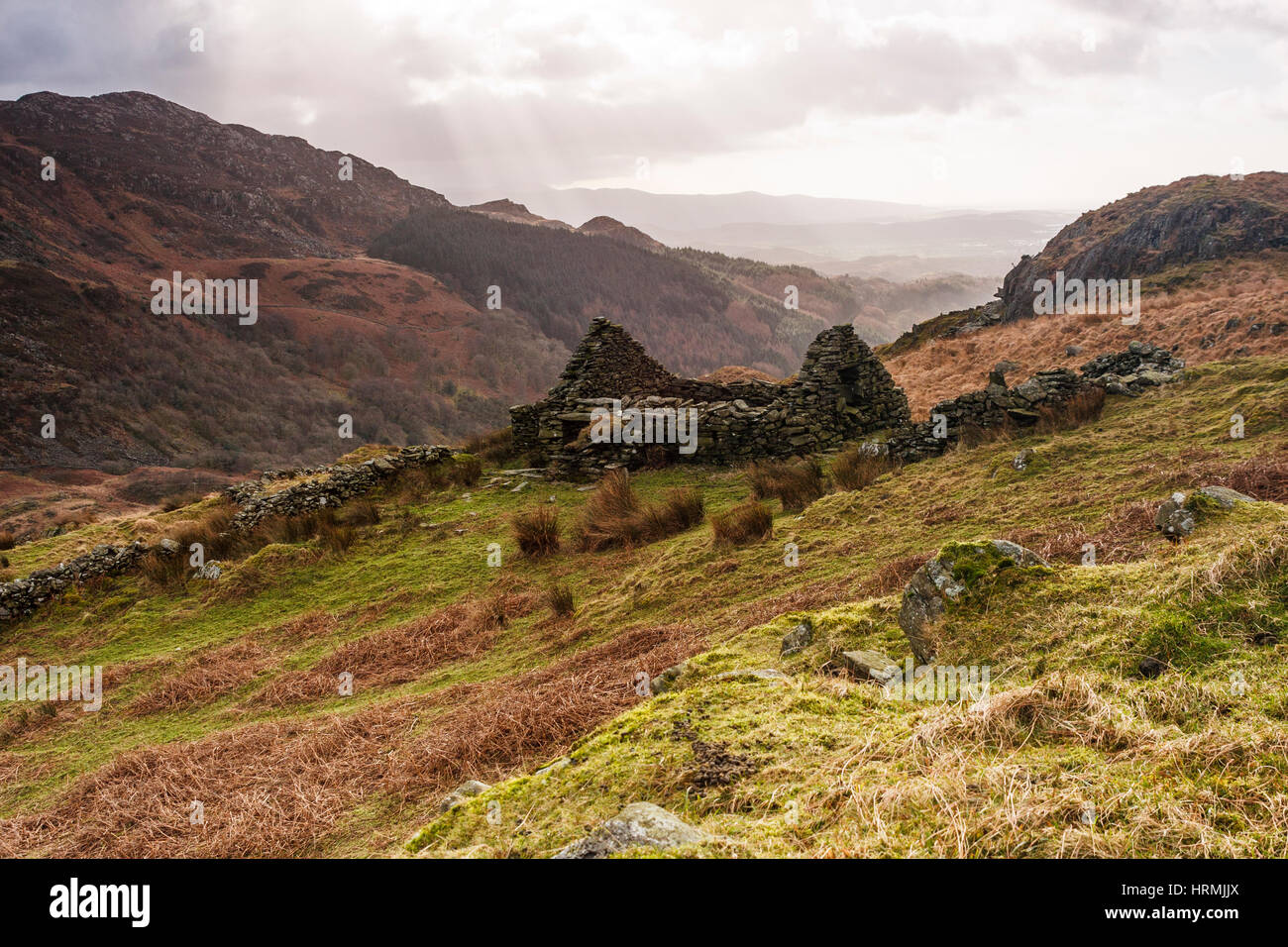 Cottage près de Snowdonia, abandonnés Banque D'Images