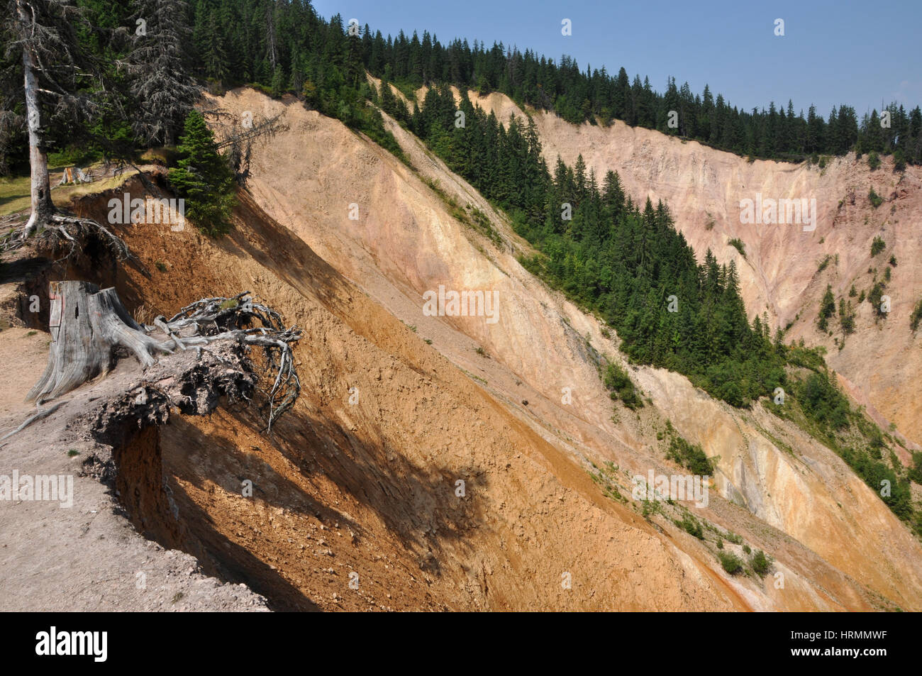 Profond ravin, paysage de l'érosion Banque D'Images