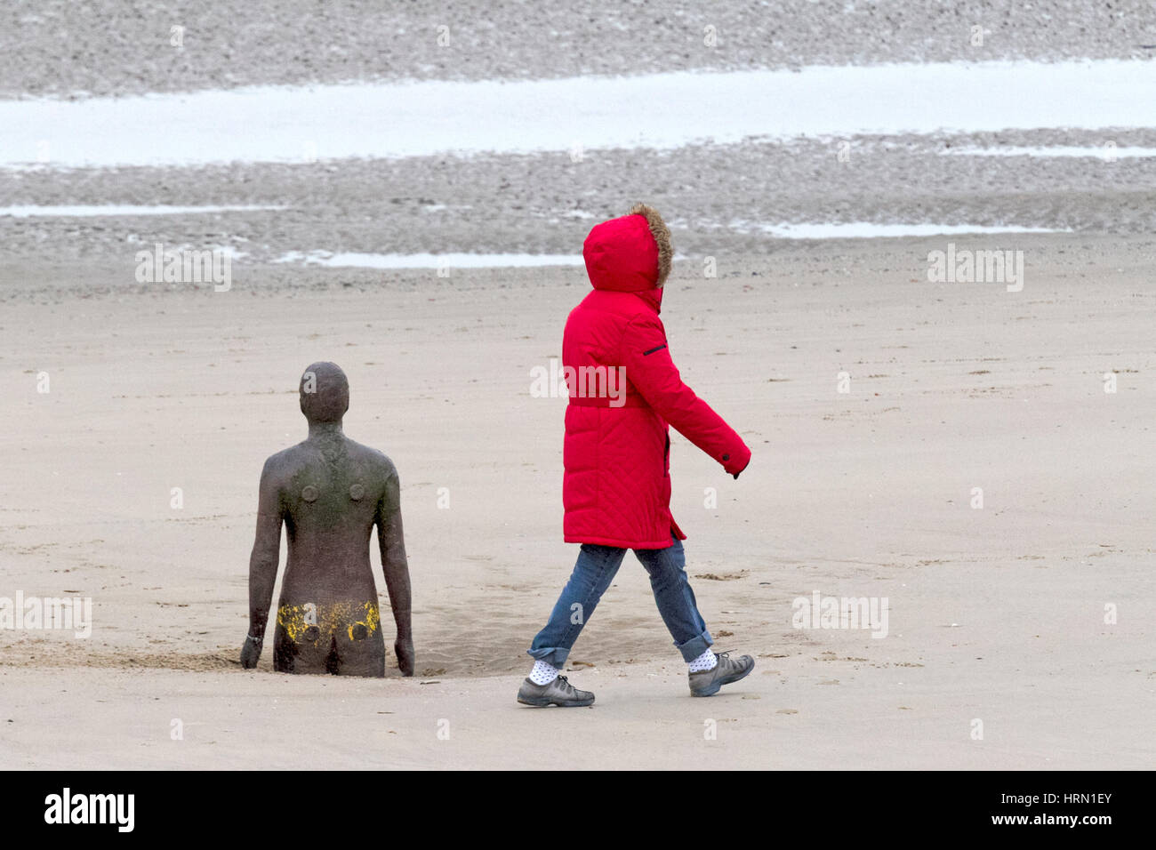 Météo France, Crosby, Liverpool, Merseyside. Mar 3e 2017. Malgré le froid, temps gris sur le nord ouest de l'Angleterre, ces daft les chiens et leurs propriétaires sont d'avoir un grand temps à jouer sur la plage de Crosby le Merseyside. Credit : Cernan Elias/Alamy Live News Banque D'Images