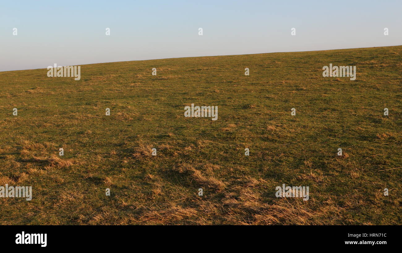 Champ d'herbe vide avec ciel bleu, Cleeve Hill, Cheltenham, Angleterre, Royaume-Uni Banque D'Images