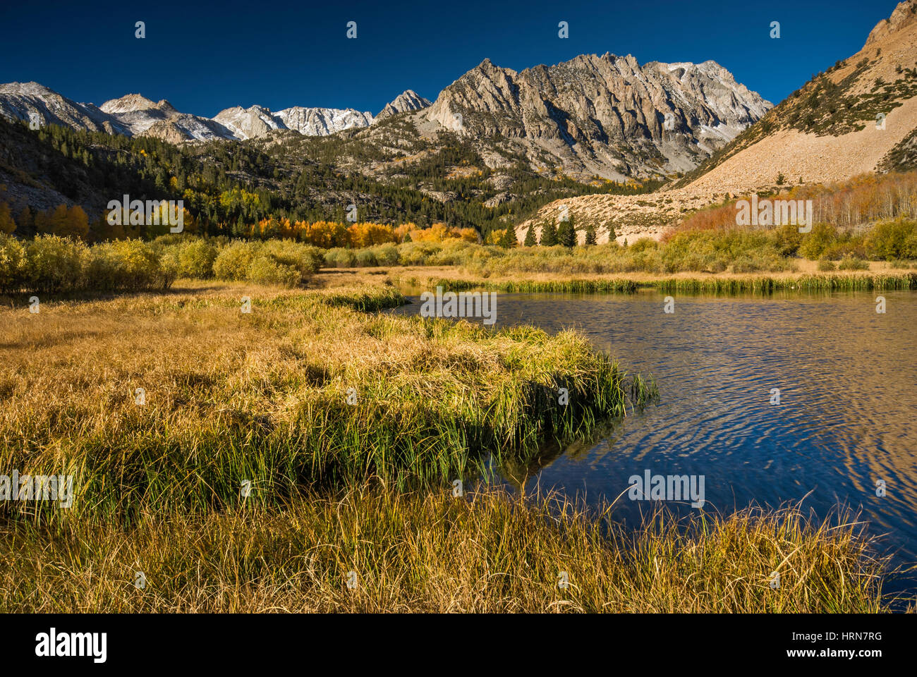 Dans le bassin nord du lac Sabrina, Mt. Lamarck à grande distance, l'évolution nationale, John Muir Wilderness, est de la Sierra Nevada, Californie, USA Banque D'Images