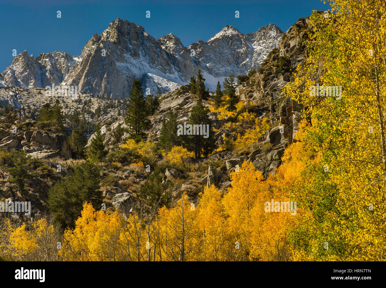 Photo montage Pic Haeckel, mont Wallace, feuillage d'automne dans le lac du bassin dans la région de Sabrina Evolution, John Muir Wilderness, Sierra Nevada, en Californie Banque D'Images