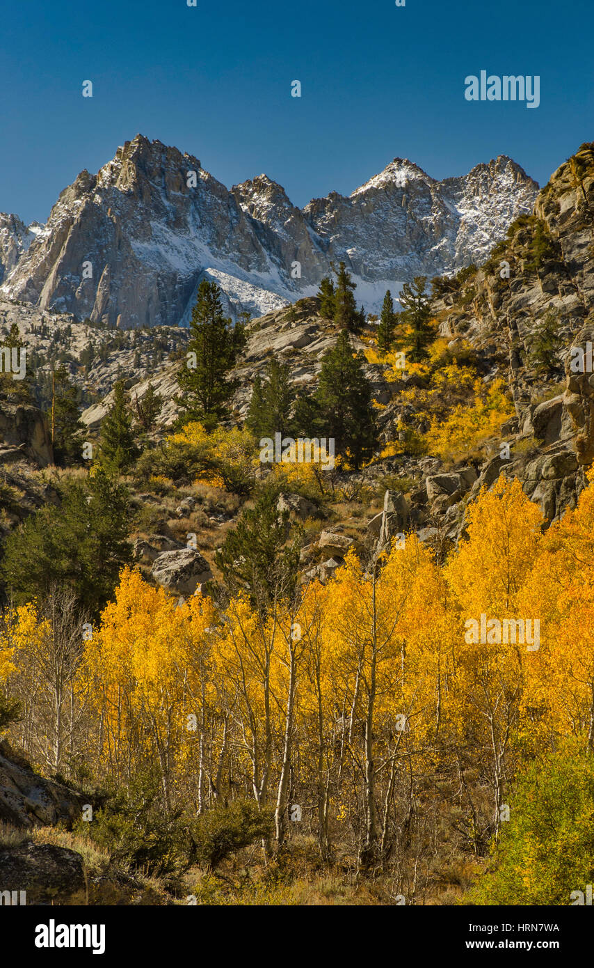 Photo montage Pic Haeckel, mont Wallace, feuillage d'automne dans le lac du bassin dans la région de Sabrina Evolution, John Muir Wilderness, Sierra Nevada, en Californie Banque D'Images