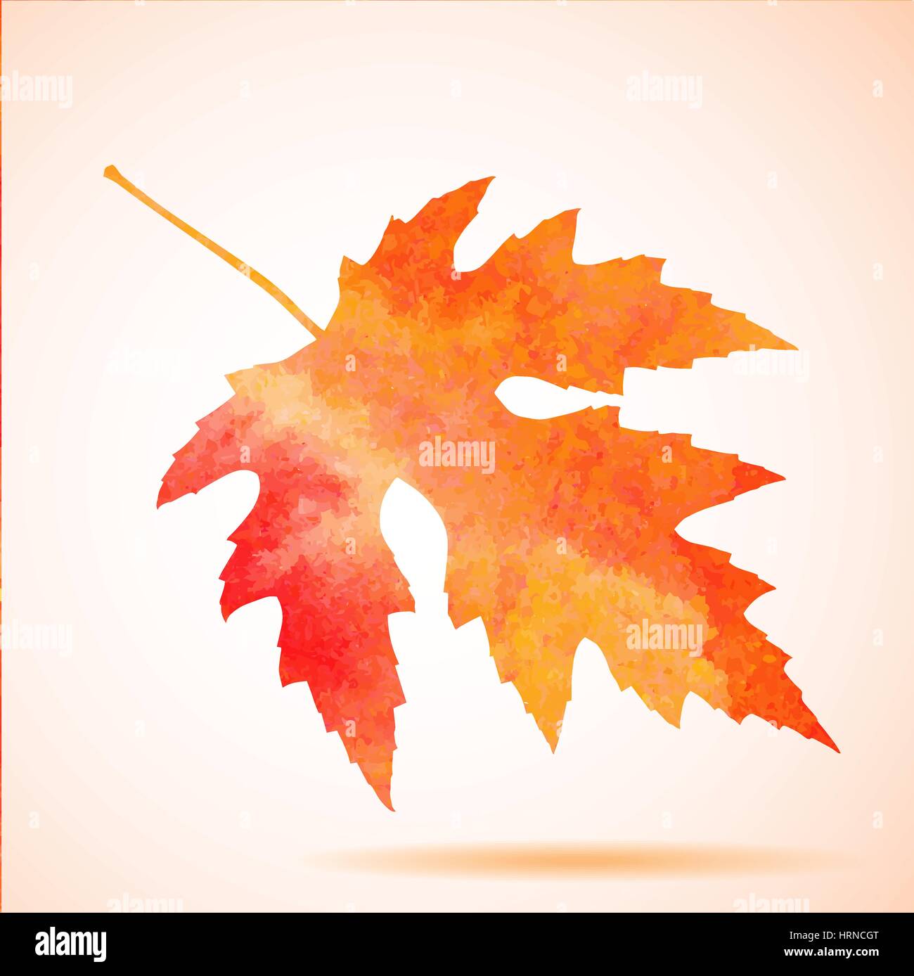 Aquarelle Orange feuille d'érable Illustration de Vecteur