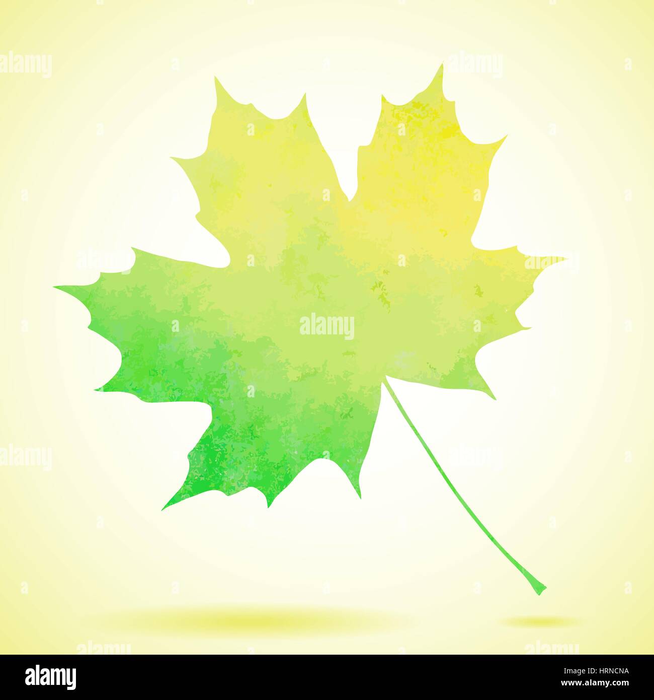 Aquarelle peint vert automne fond vecteur maple leaf Illustration de Vecteur