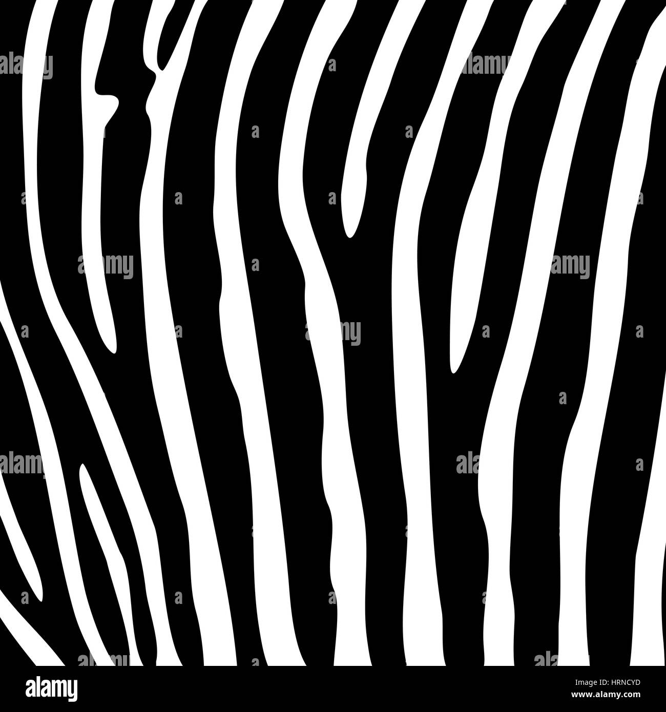 Zebra noir et blanc fond rayé Illustration de Vecteur