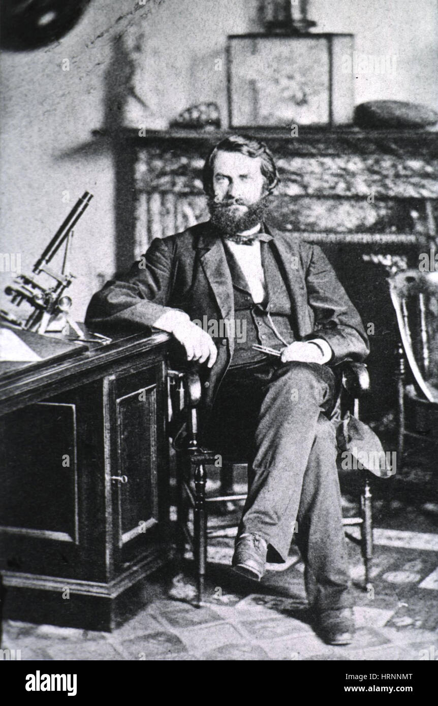 Joseph Leidy, père de la paléontologie des vertébrés américains Banque D'Images
