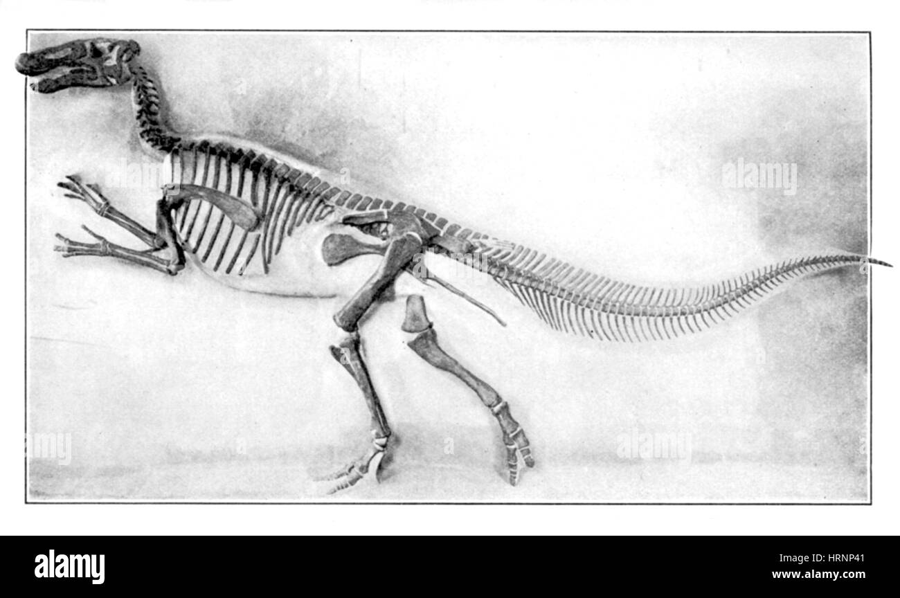 Trachodon Banque D'Images