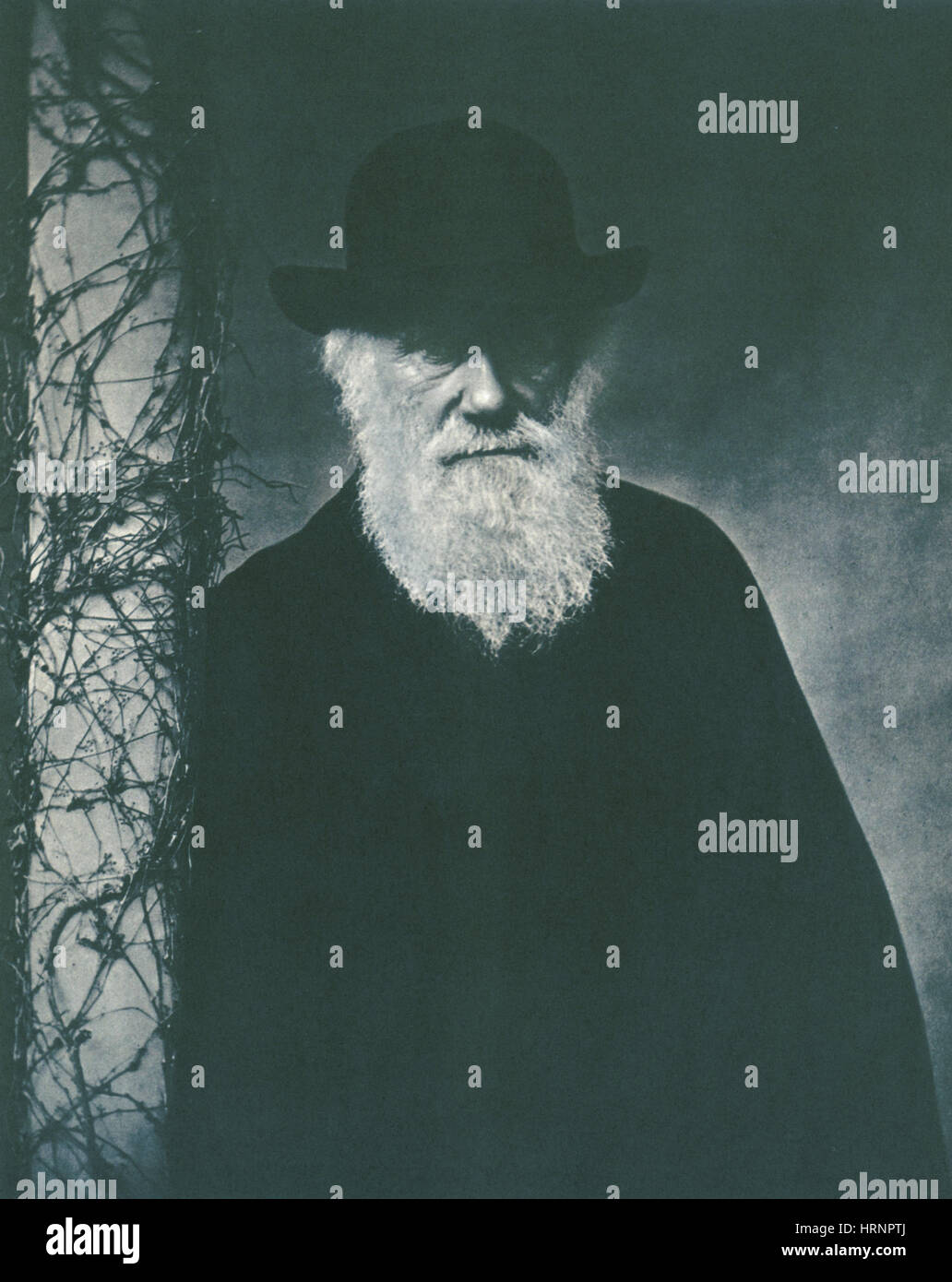 Charles Darwin, Naturaliste anglais, 1881 Banque D'Images