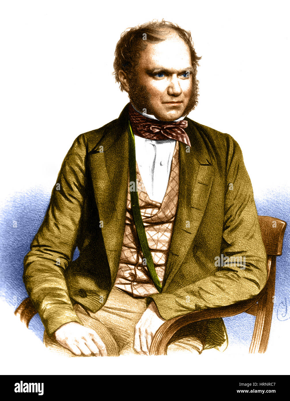 Charles Robert Darwin, Naturaliste anglais Banque D'Images