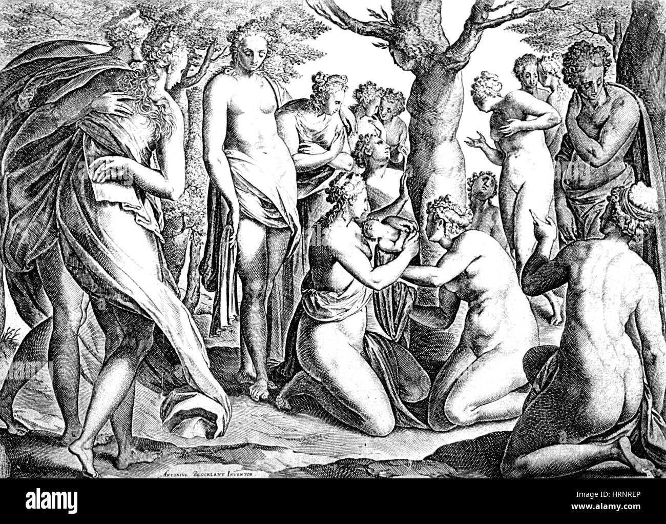 Naissance d’Adonis Banque D'Images