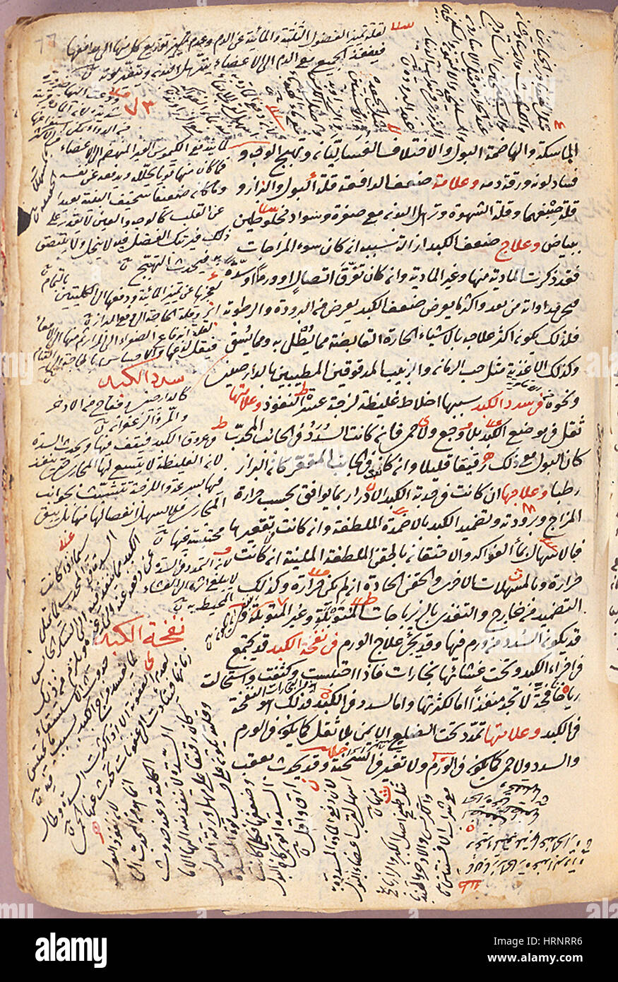 Encyclopédie médicale islamique Epitomes manuscrit, 12e siècle Banque D'Images