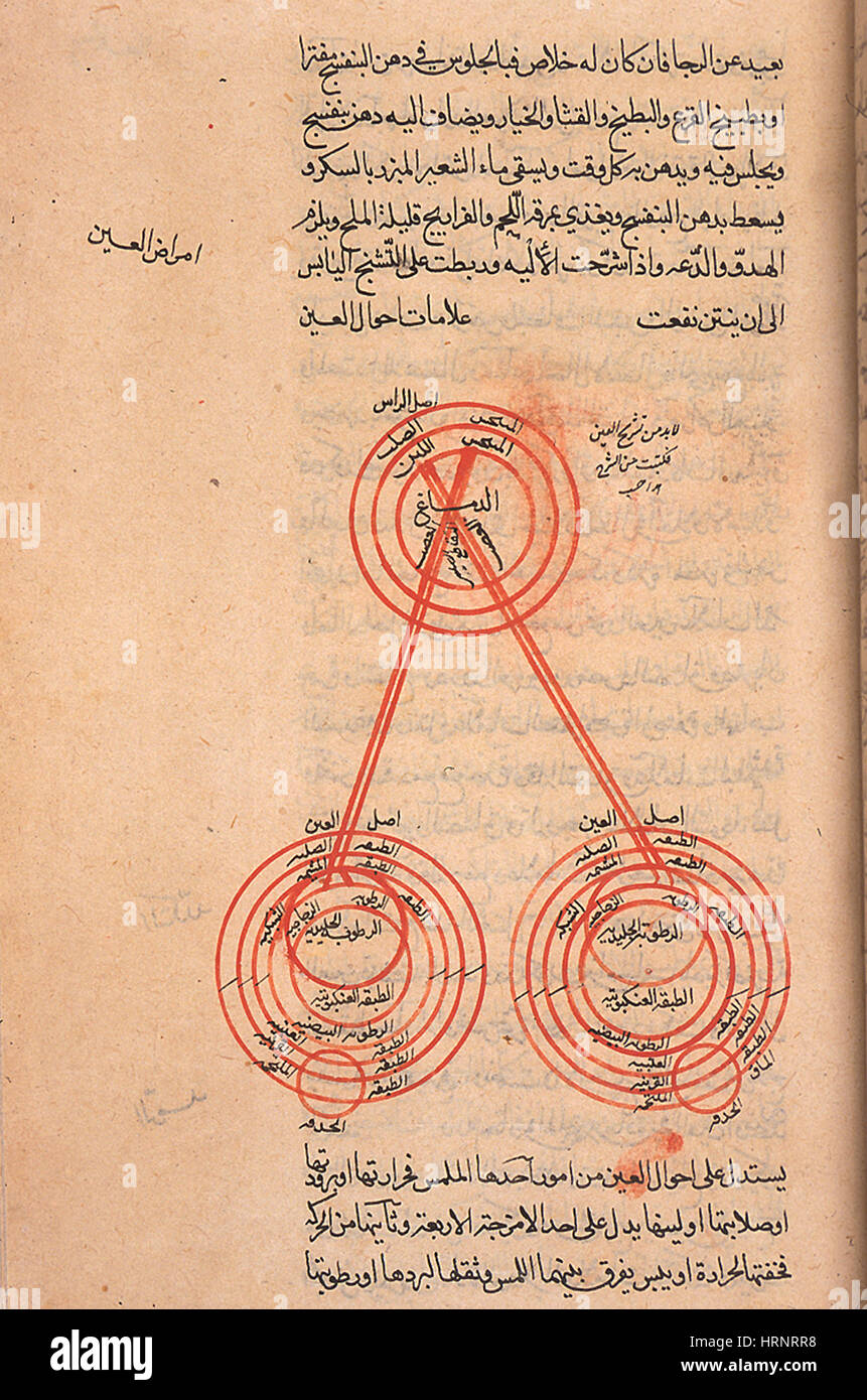Encyclopédie médicale Epitomes manuscrit islamique Banque D'Images