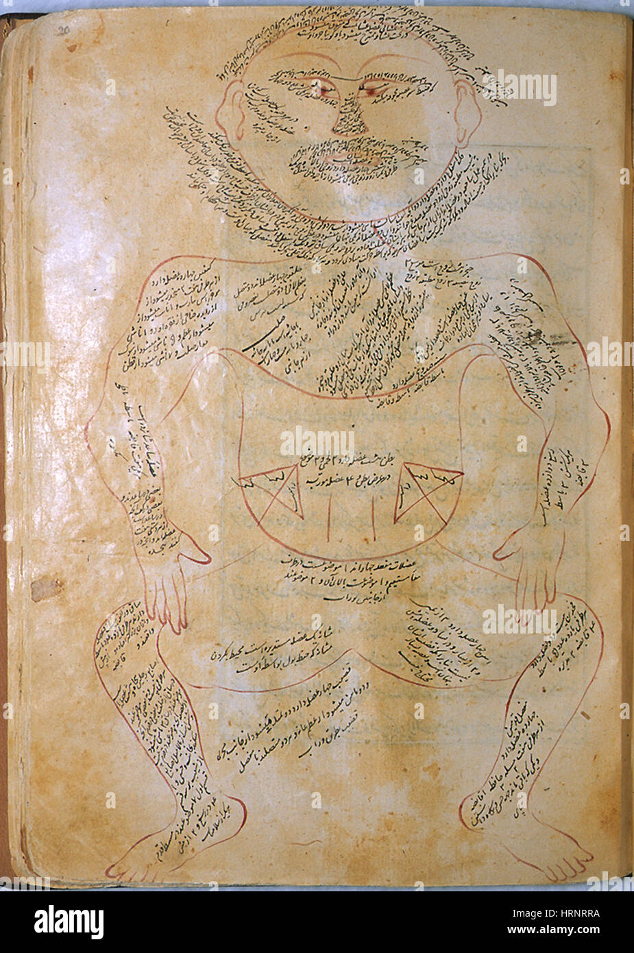 Mansur, anatomie du système musculaire, 15e siècle Banque D'Images