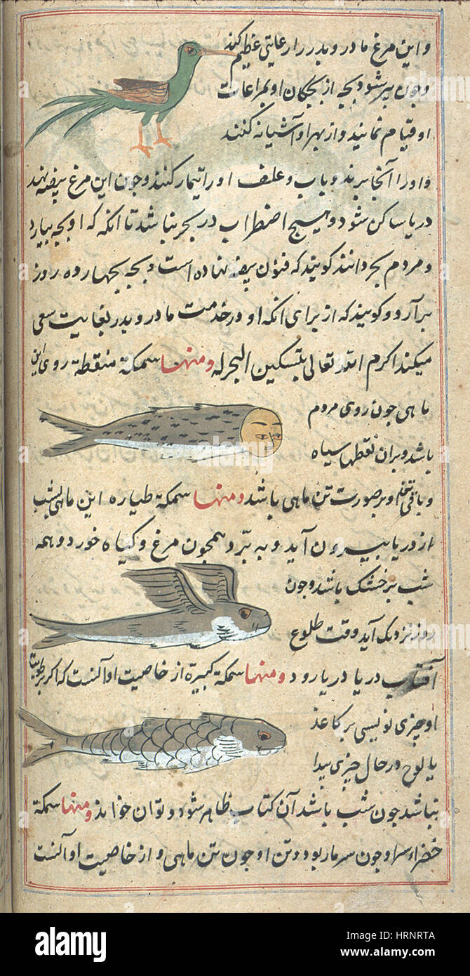 Des Créatures Mythiques islamique, 17e siècle Banque D'Images