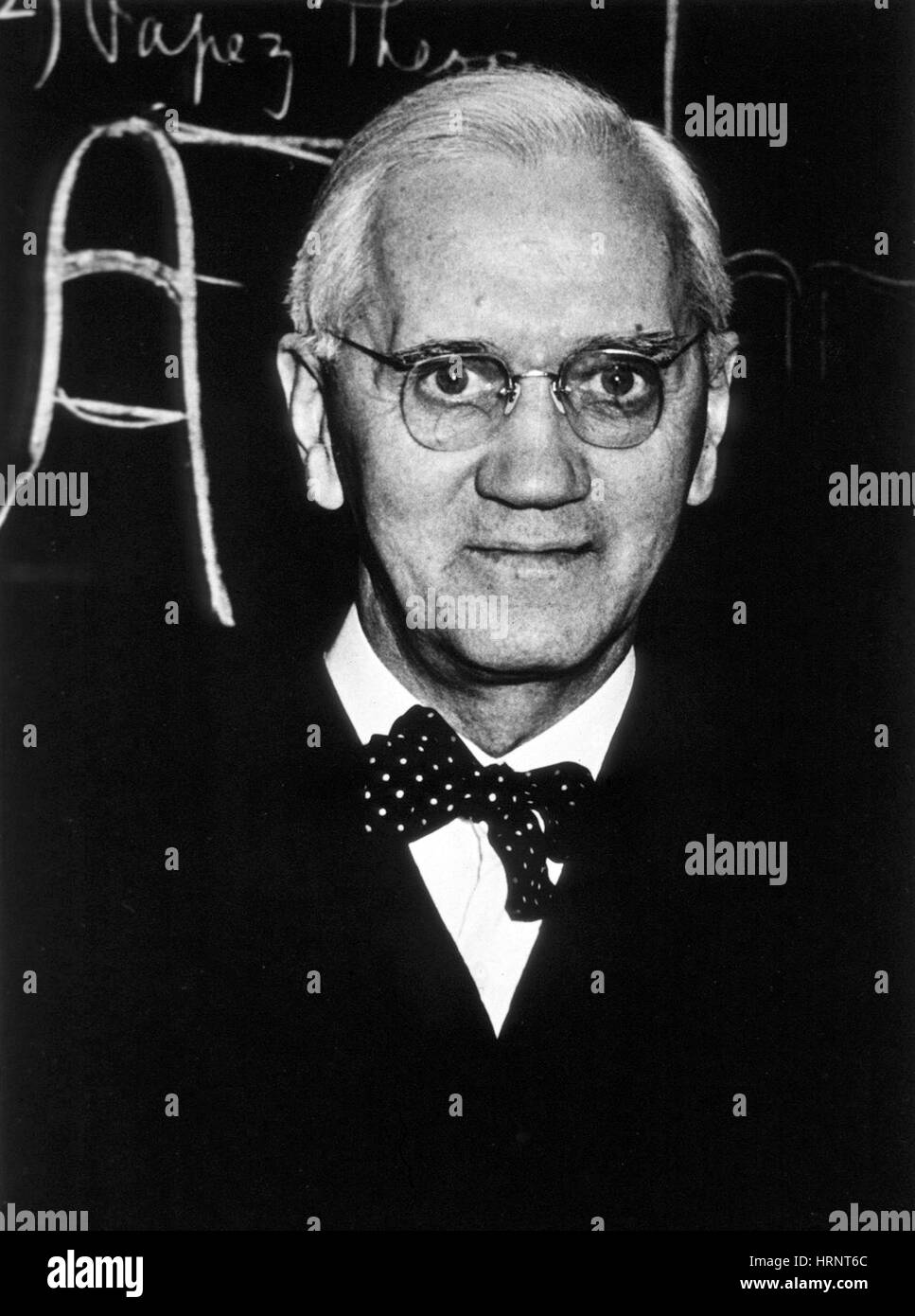 Alexander Fleming, biologiste écossais Banque D'Images