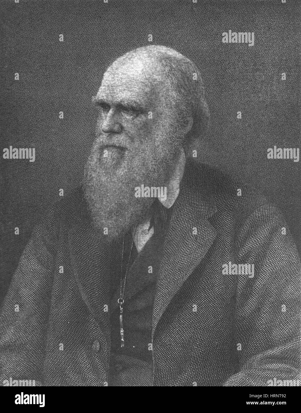Charles Robert Darwin, Naturaliste anglais Banque D'Images