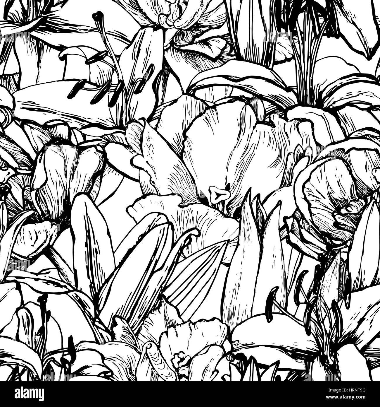 Motif graphique florale. Faites à la main de fleurs exotiques. Silhouette de lys et les tulipes. Contours noirs sur fond blanc. Vintage print. Textil Illustration de Vecteur