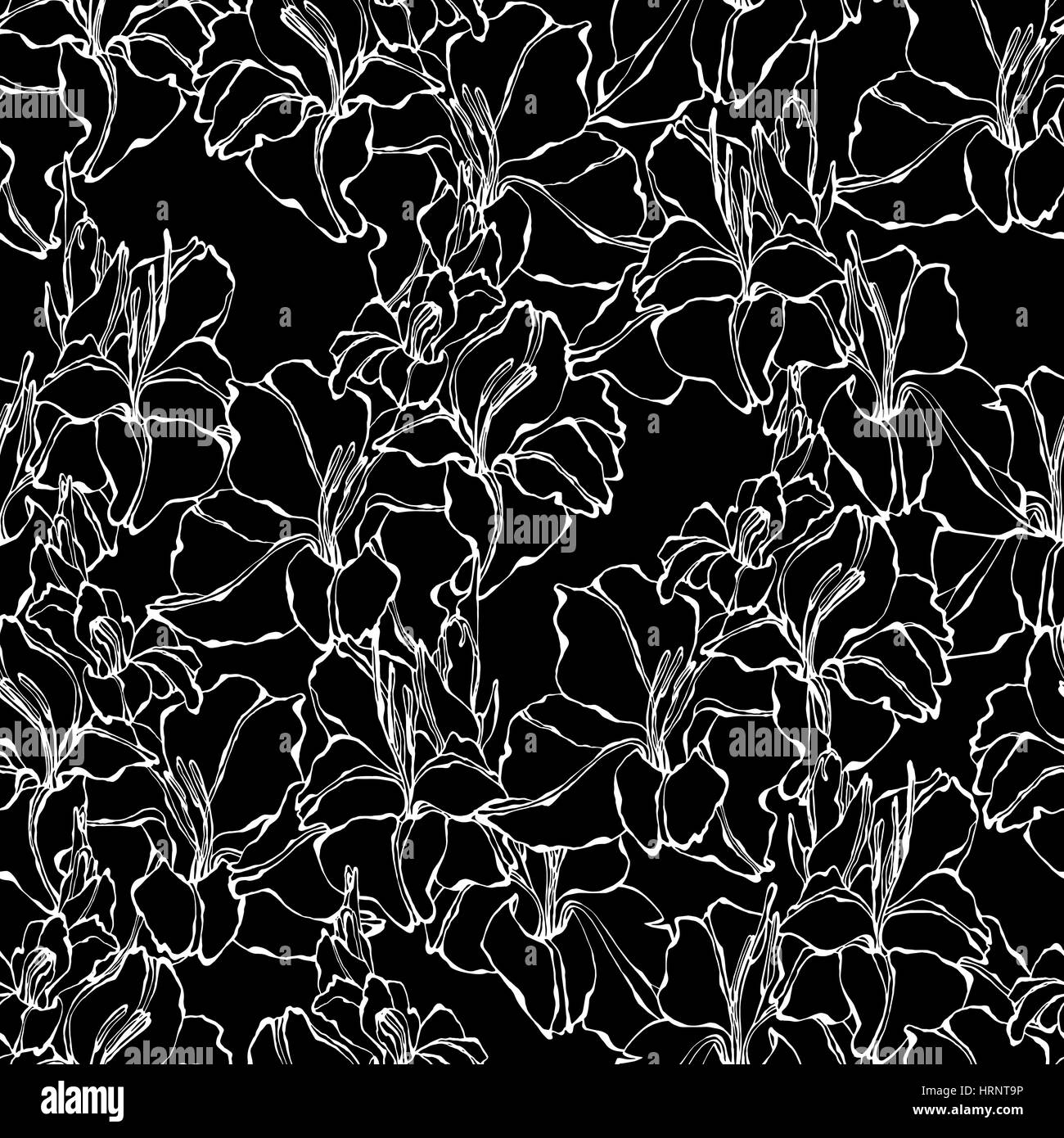 Motif floral vectoriel continu. Glaïeul fleurs dessinées à la main, décrit blanc sur fond noir. Le design textile. Illustration de Vecteur