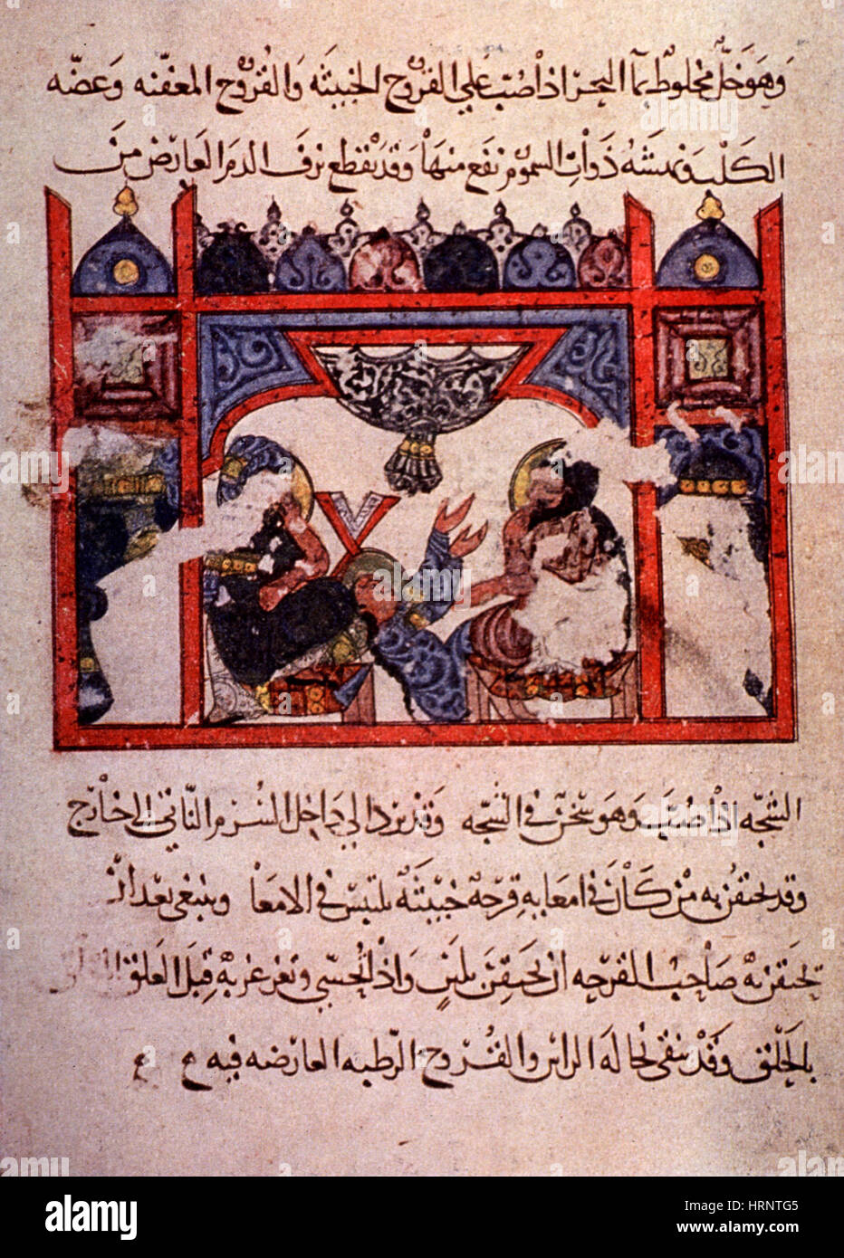 Dioscoride's 'De Materia Medica', 13e siècle Banque D'Images