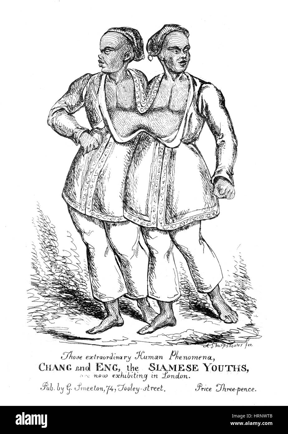 Chang et Eng Bunker, Siamois Banque D'Images