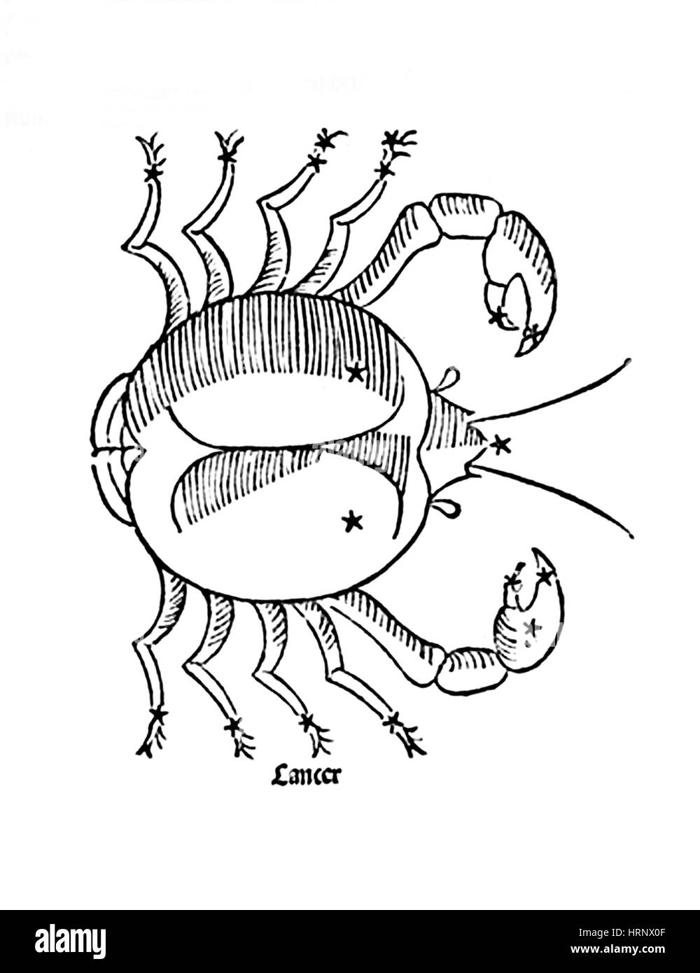 Constellation du cancer, signe du Zodiaque, 1482 Banque D'Images