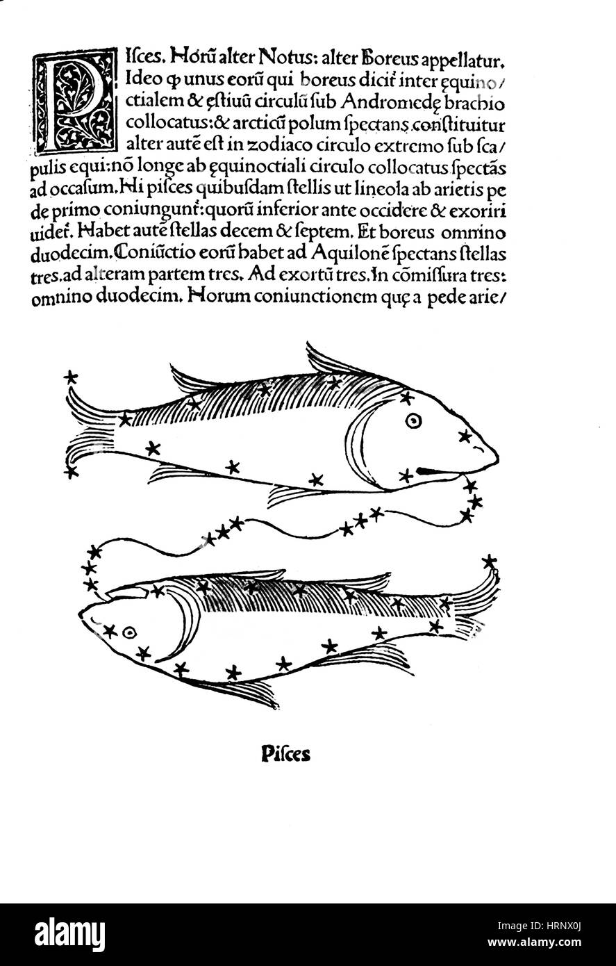 La constellation des Poissons, Zodiaque, 1482 Banque D'Images