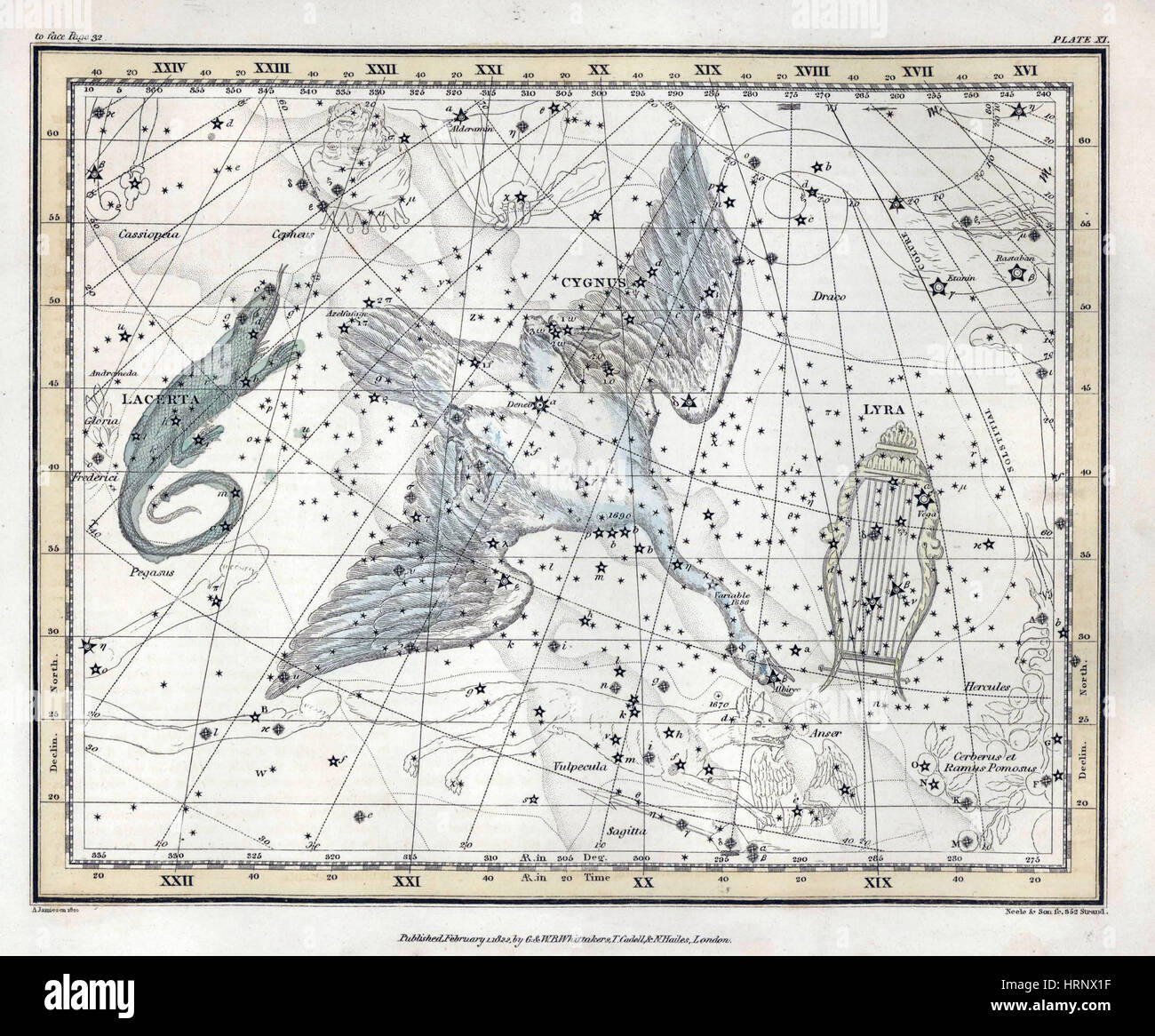Constellation du Cygne, 1822 Banque D'Images