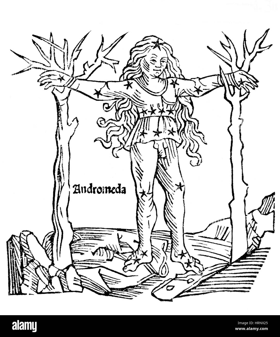 Andromeda Constellation, 1482 Banque D'Images