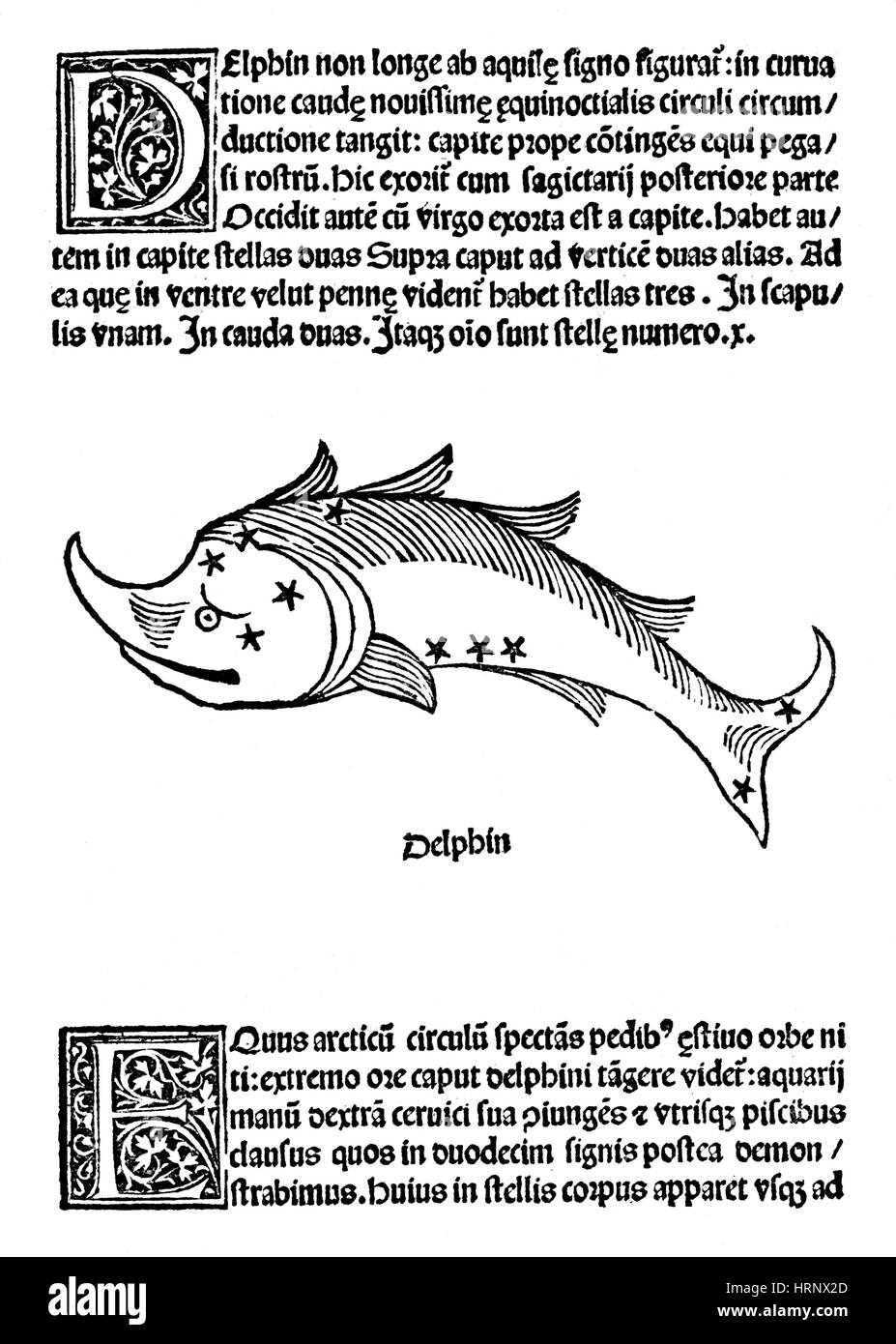 Delphinus Constellation, 1482 Banque D'Images