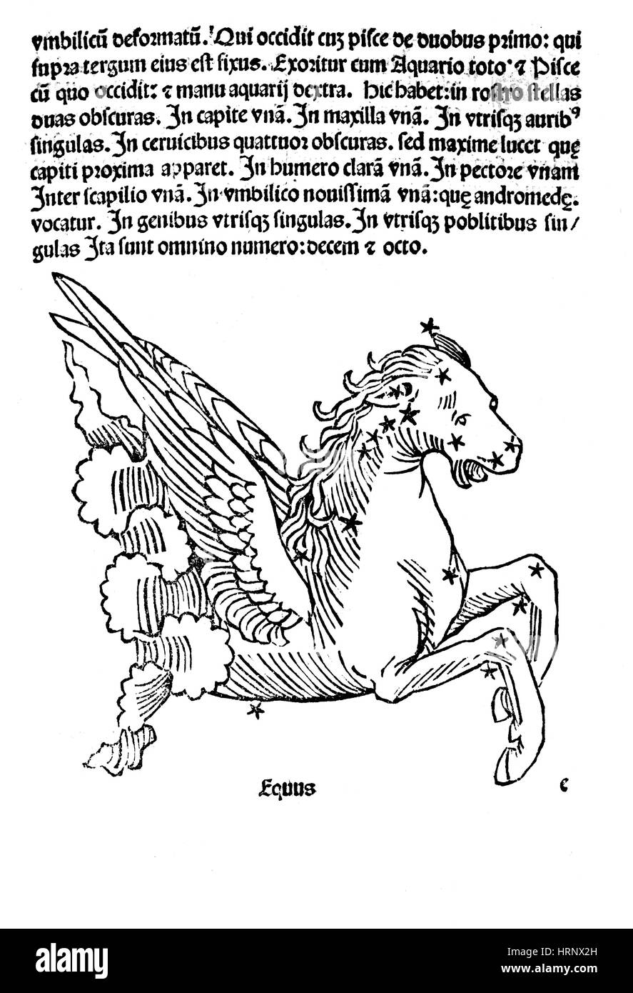 Equuleus Constellation, 1482 Banque D'Images