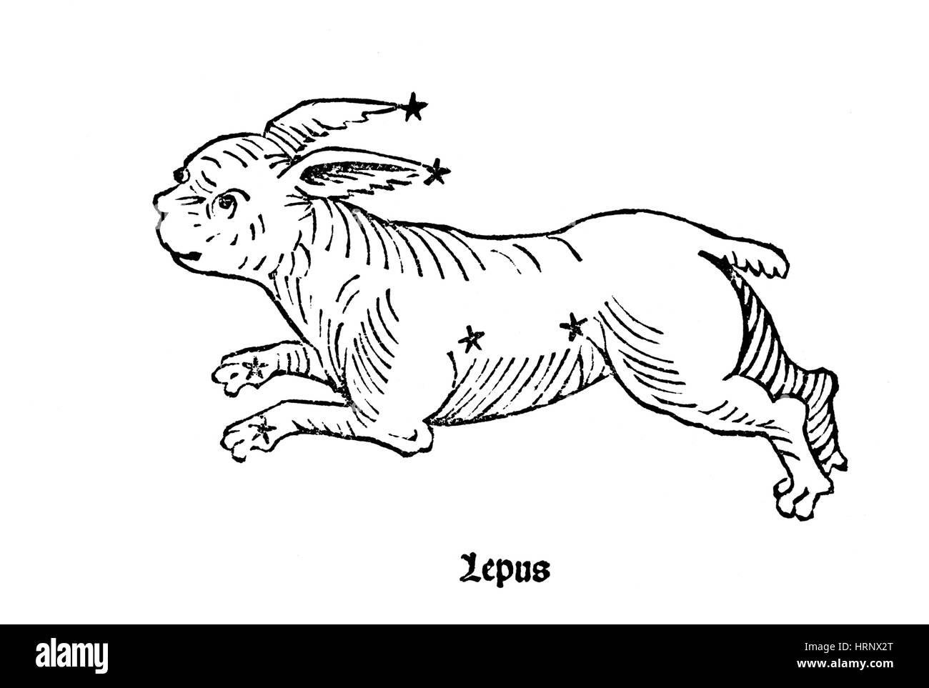 Lepus Constellation, 1482 Banque D'Images