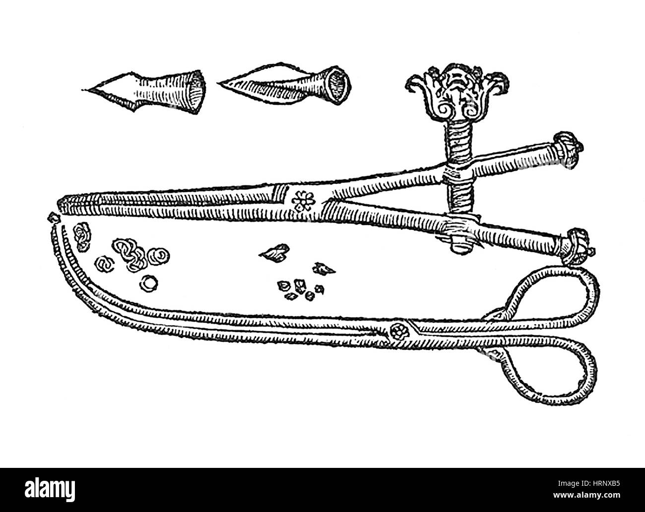 Ambroise ParÌ©, le sagittaire extracteurs, 1584 Banque D'Images