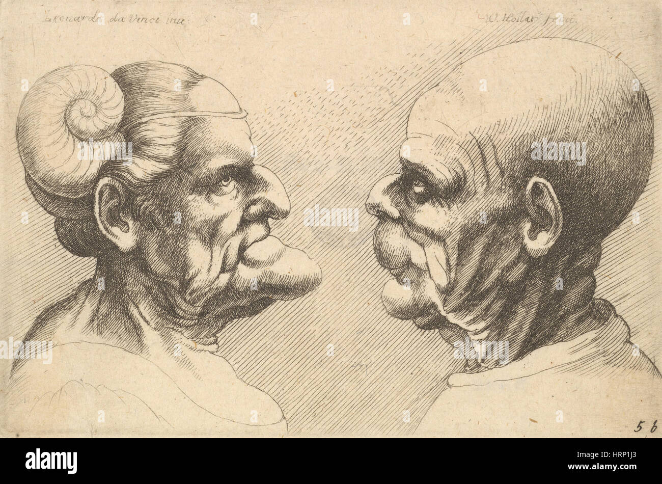 Deux têtes déformées par Wenceslaus Hollar Banque D'Images