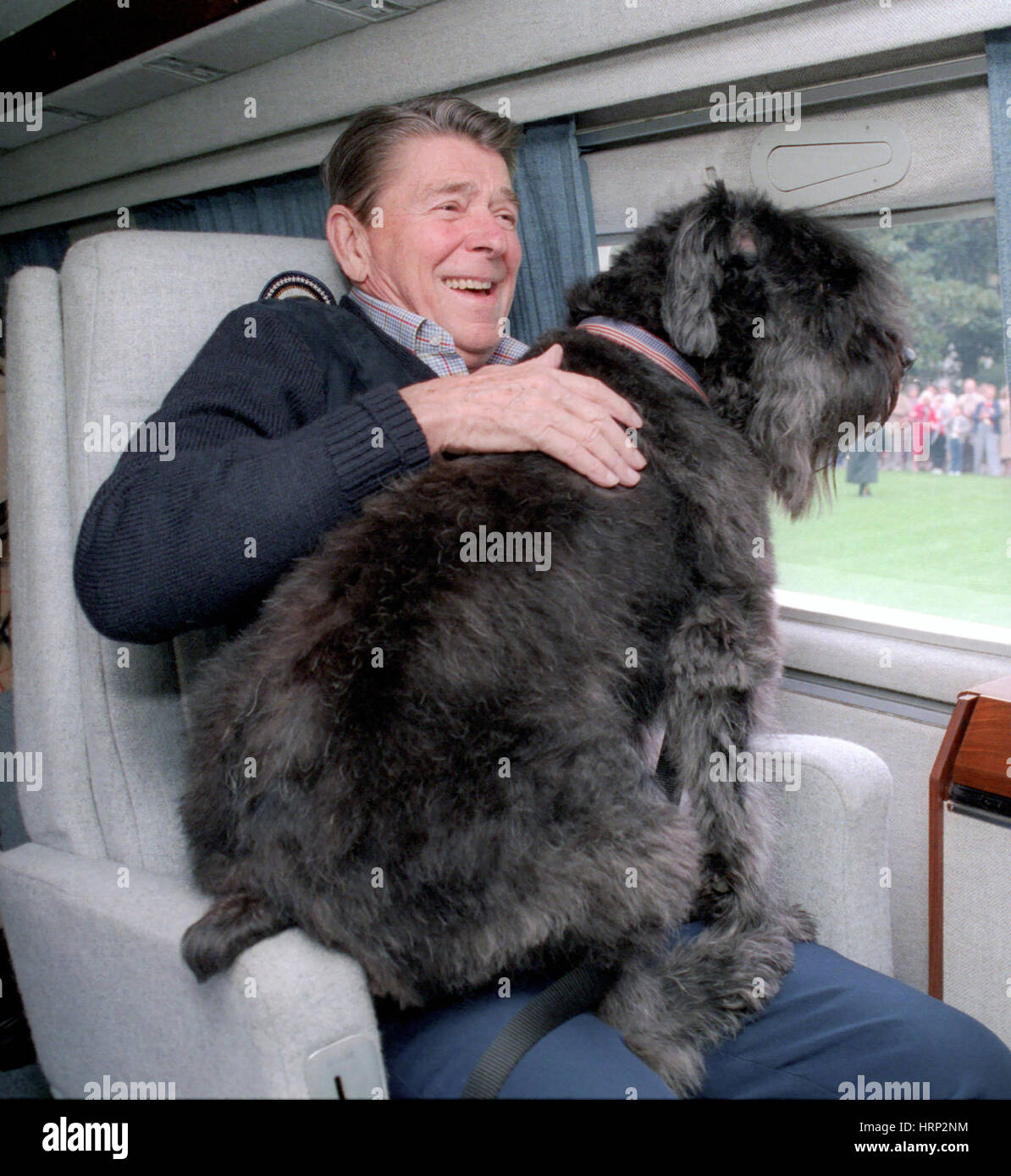 Le président Reagan avec Lucky, 1985 Banque D'Images