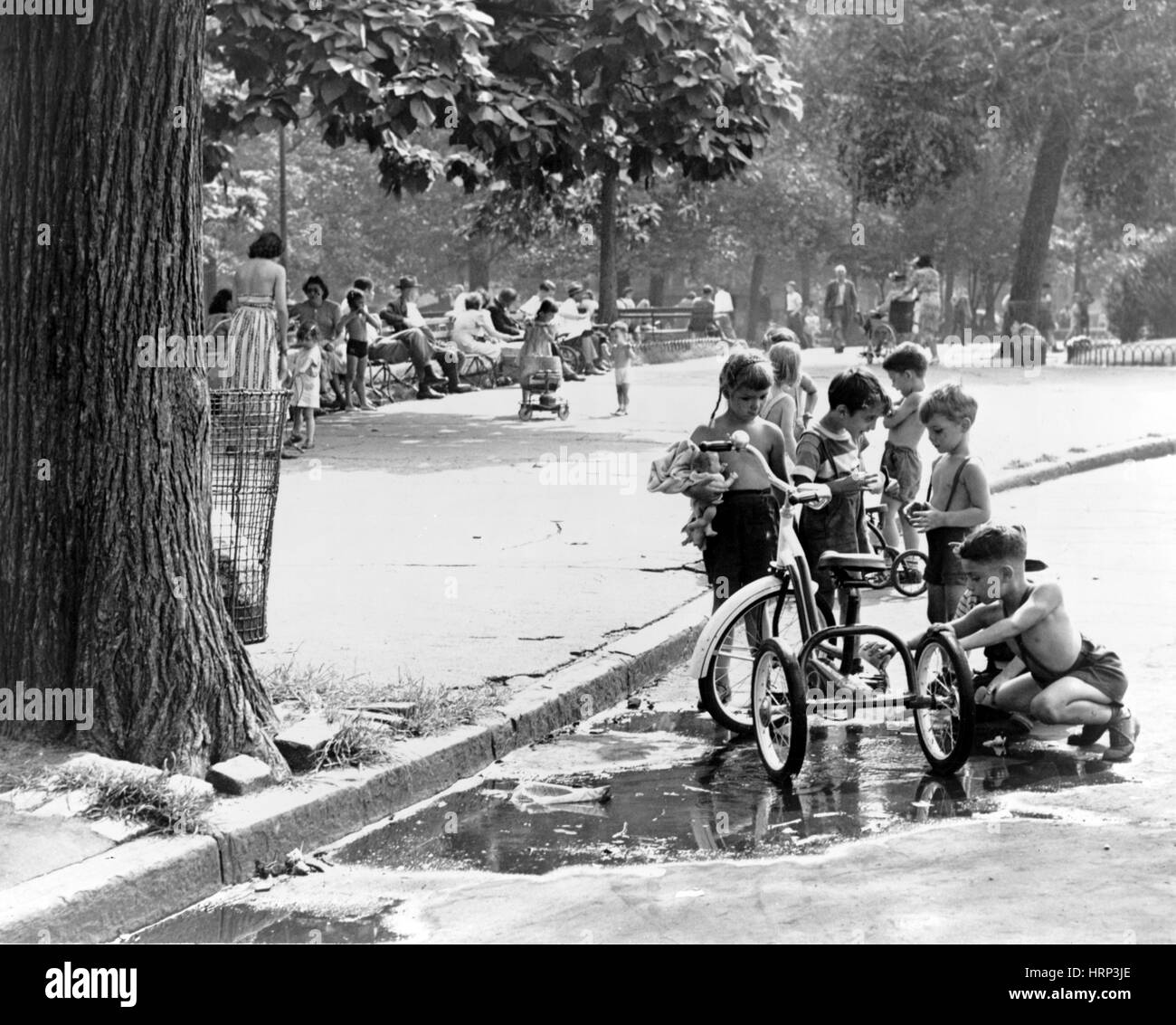 NYC, les enfants avec des tricycles, 1948 Banque D'Images