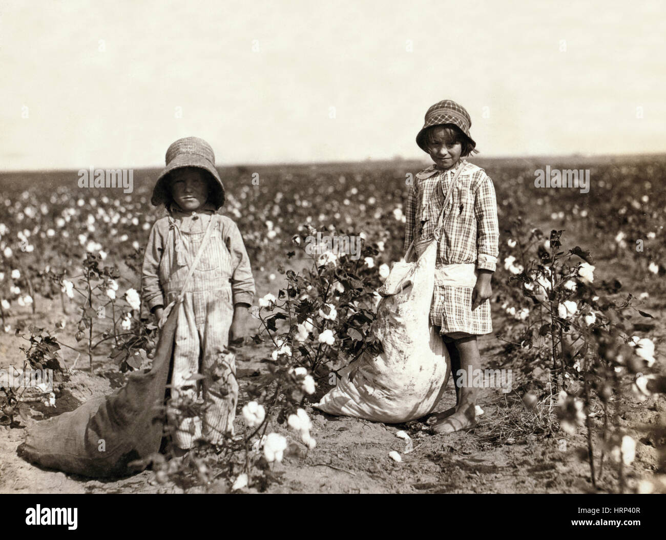 New York Cotton Pickers, 1916 Banque D'Images