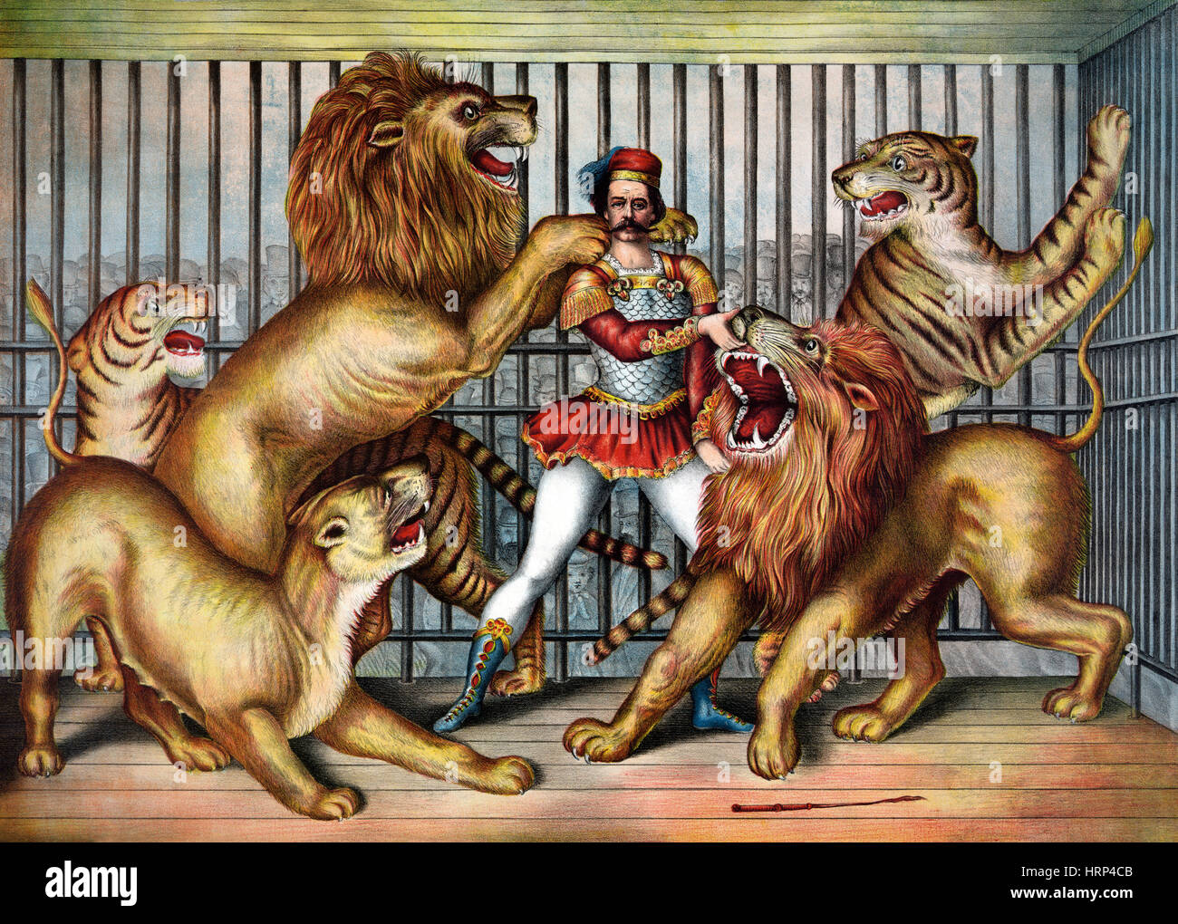Lion de cirque, 1873 Loi sur l'apprivoiser Banque D'Images