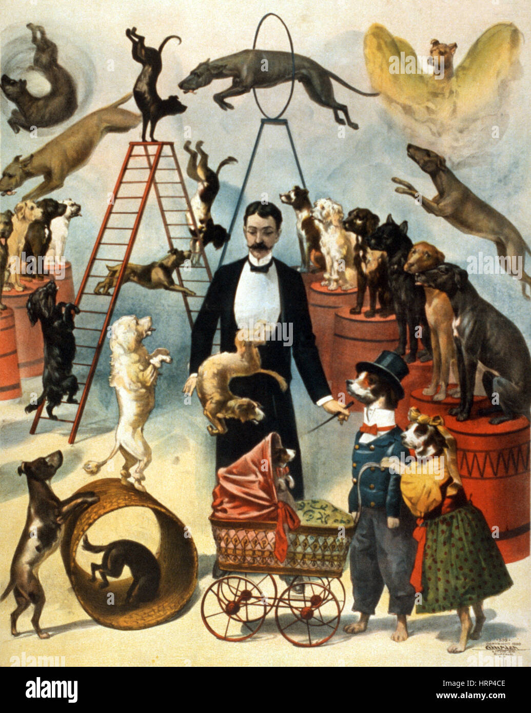 Loi sur les chiens de cirque, 1899 Banque D'Images