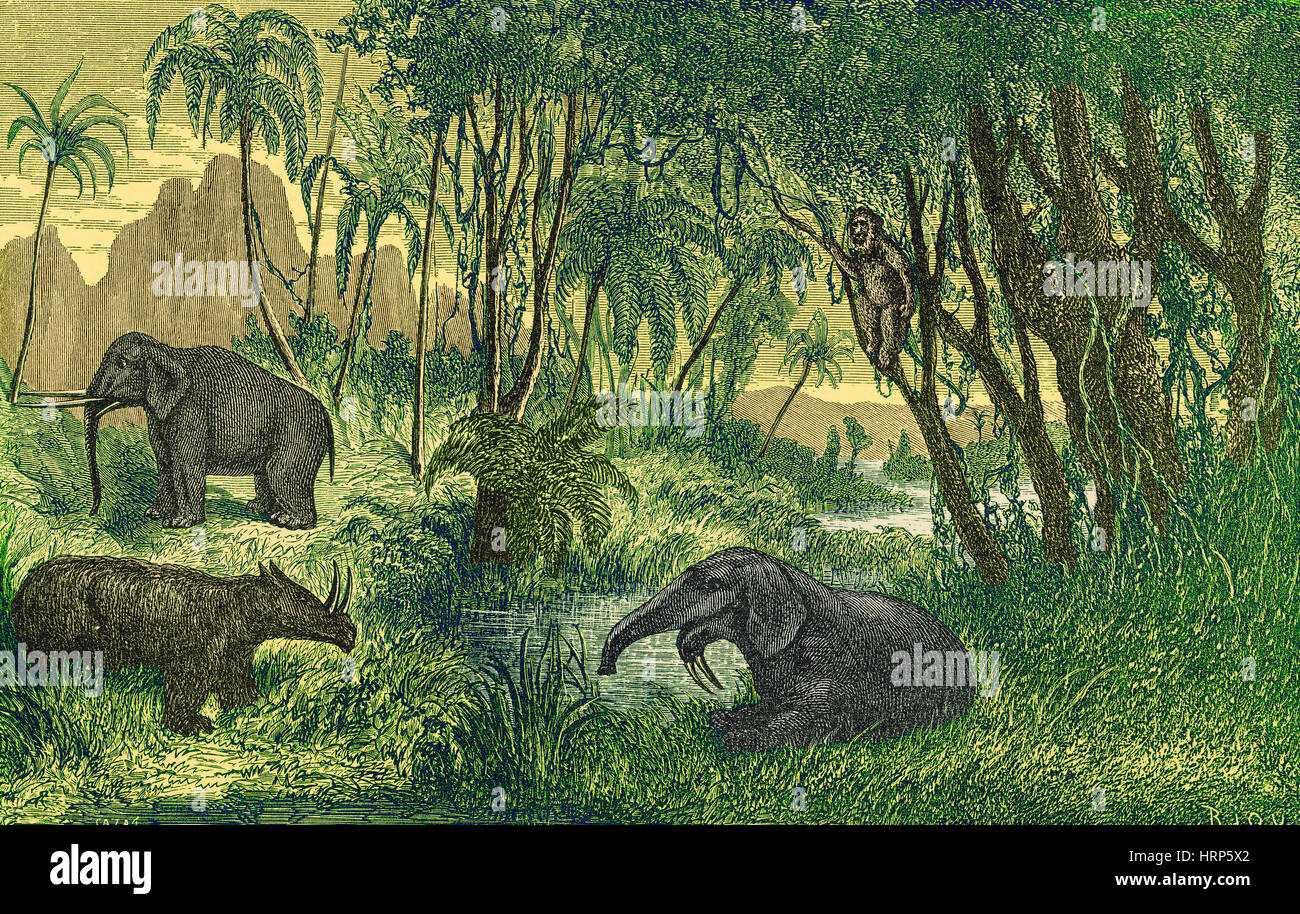 Paysage du Miocène, préhistoriques Banque D'Images