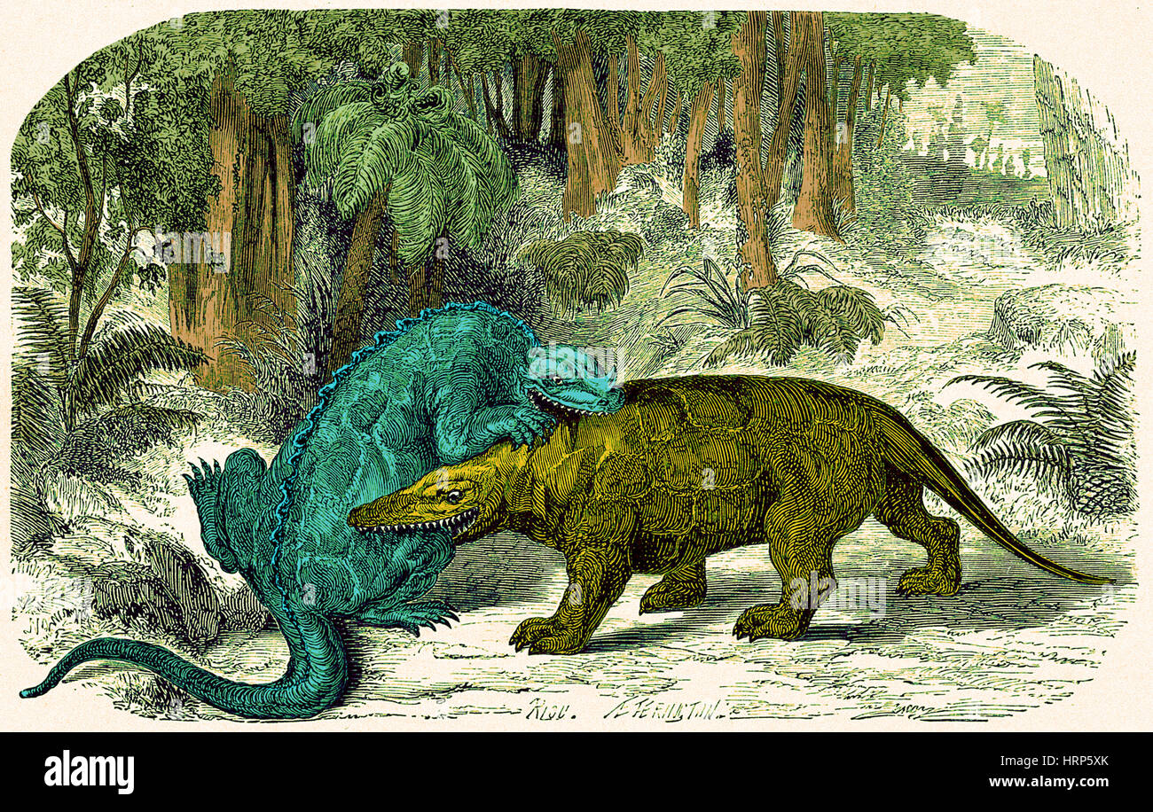 Iguanodon Biting Megalosaurus, Crétacé Banque D'Images