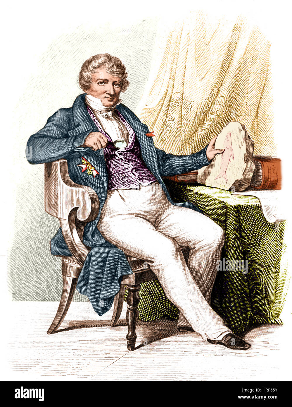 Georges Cuvier, naturaliste français Banque D'Images
