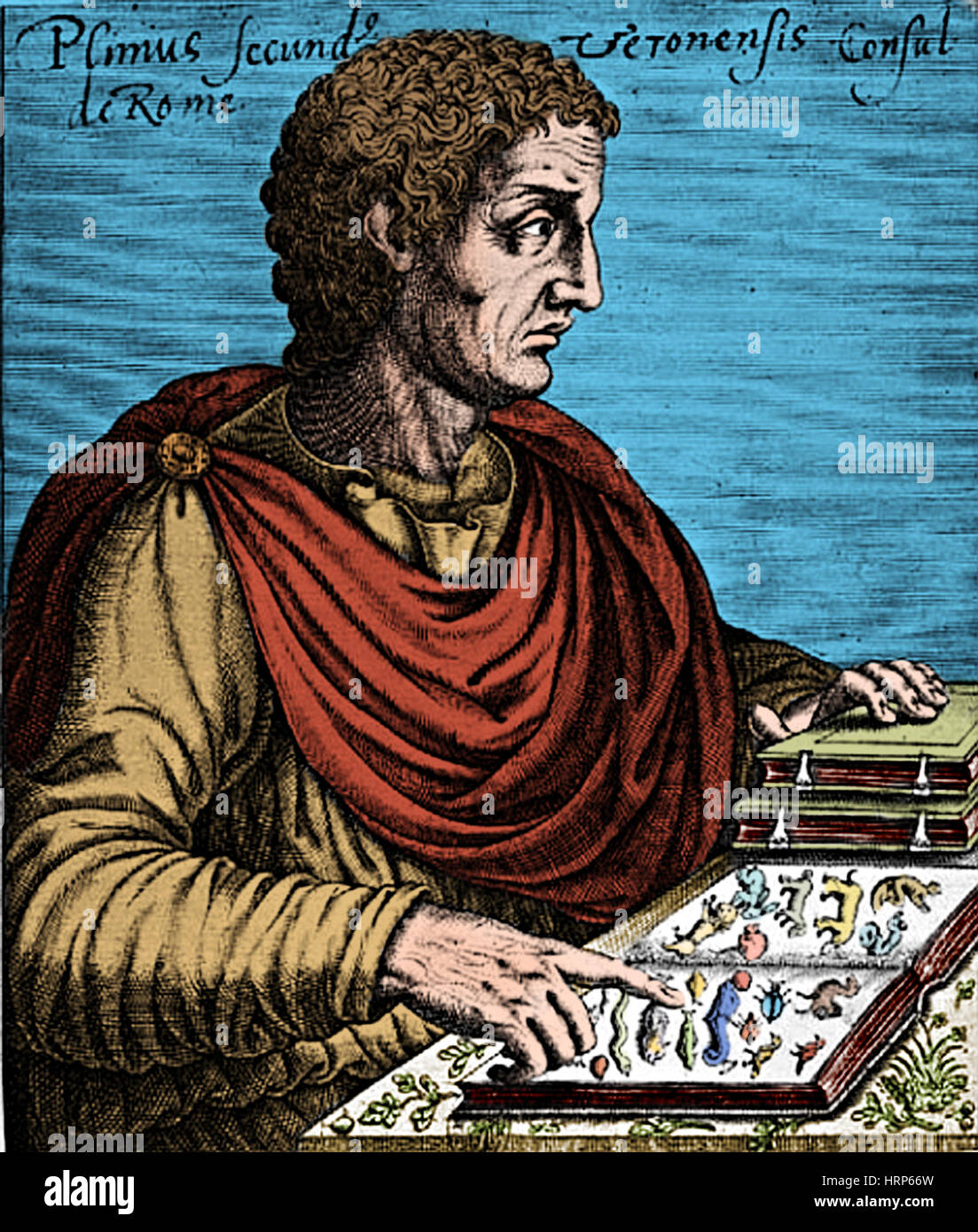 Pline l'Ancien, naturaliste romain antique Banque D'Images