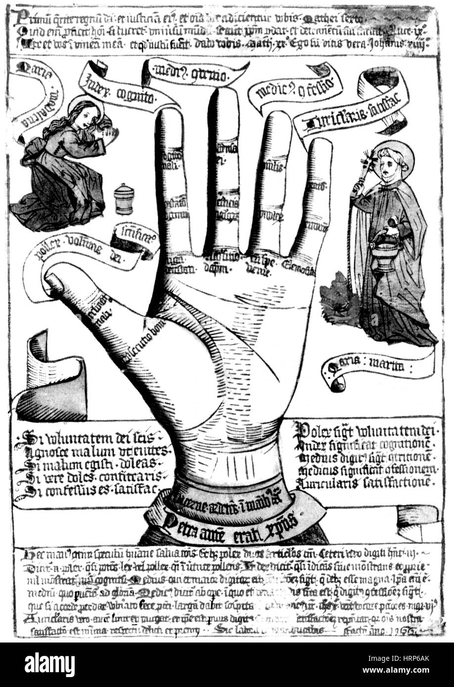 La chiromancie, les lignes de Palm, 1446 Banque D'Images