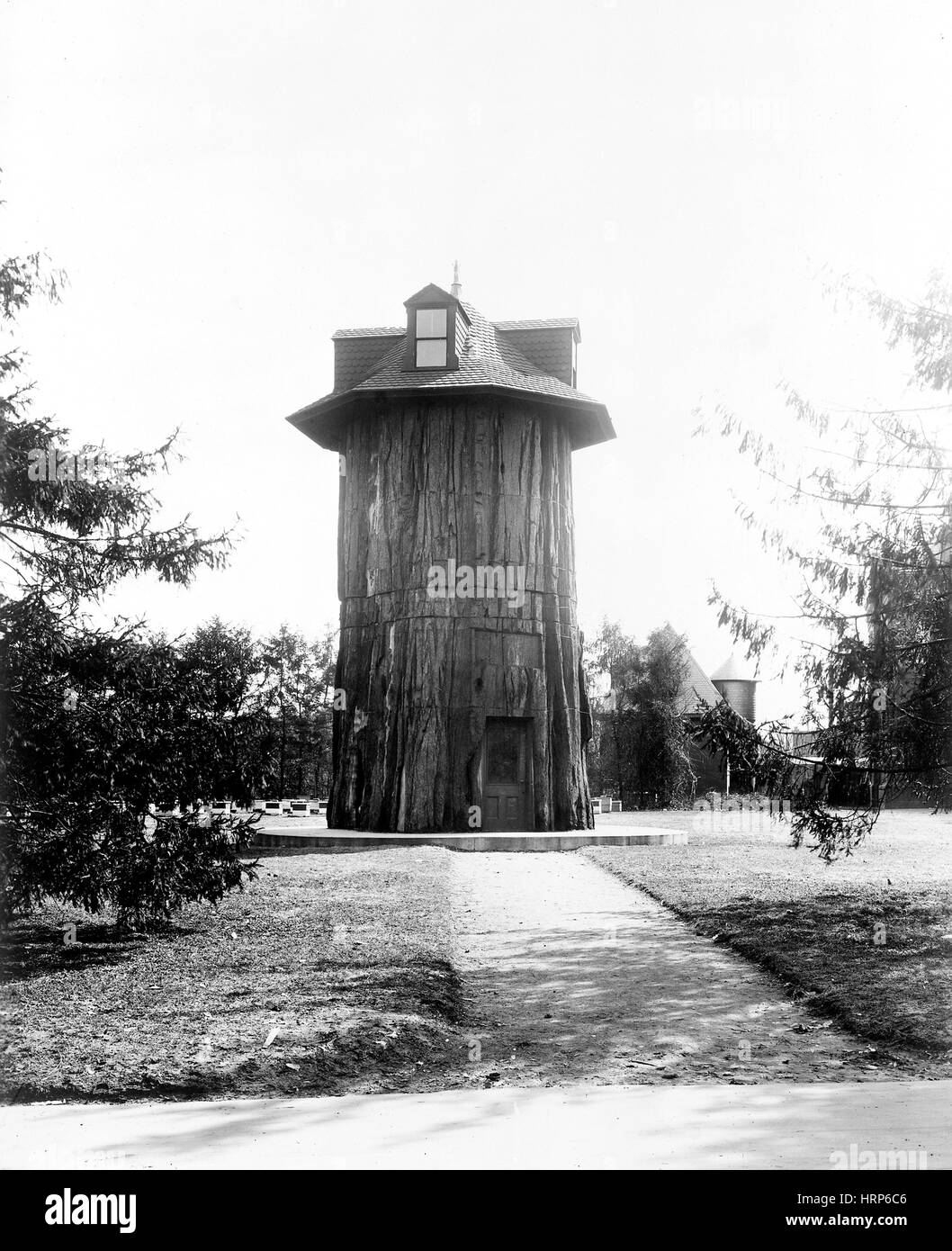 Général Noble, 1925 Redwood Tree House Banque D'Images