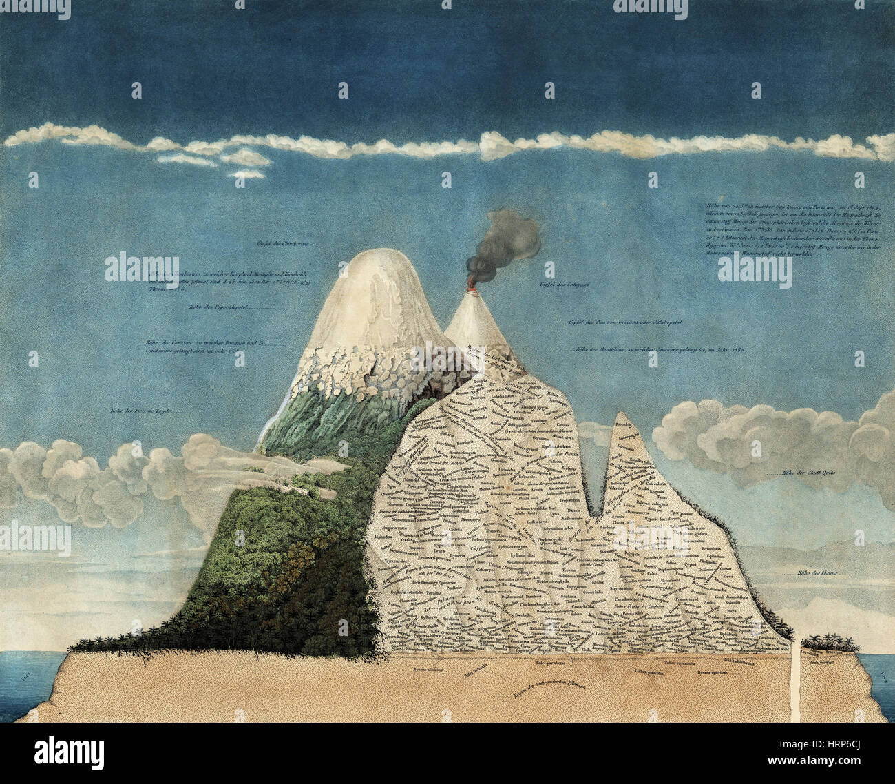 Man S Search For Meaning In Spanish Pdf