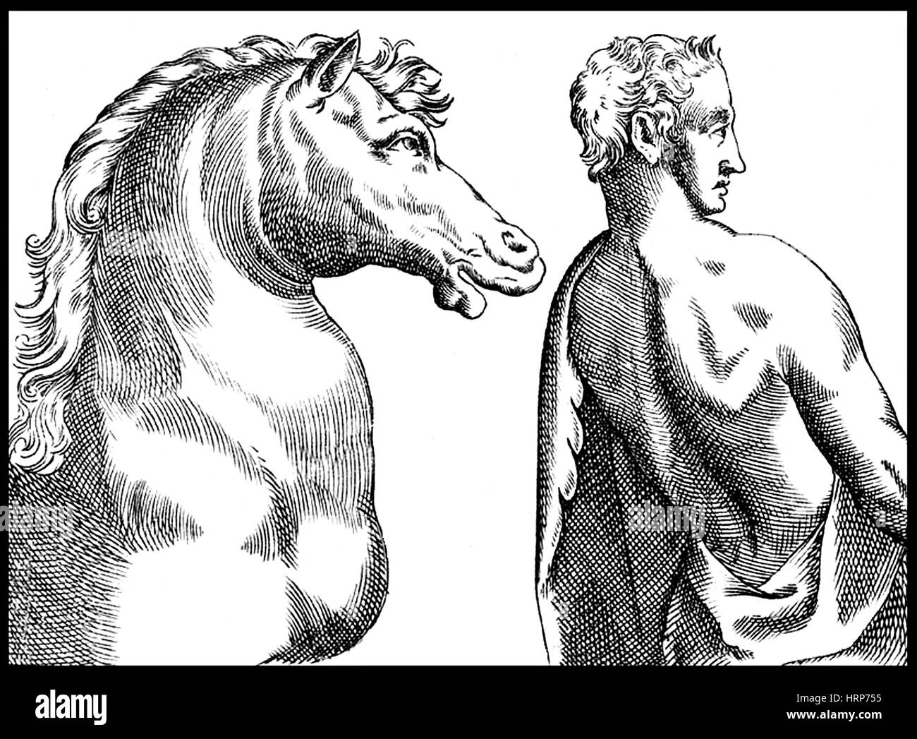 Cheval humain Banque d'images noir et blanc - Alamy