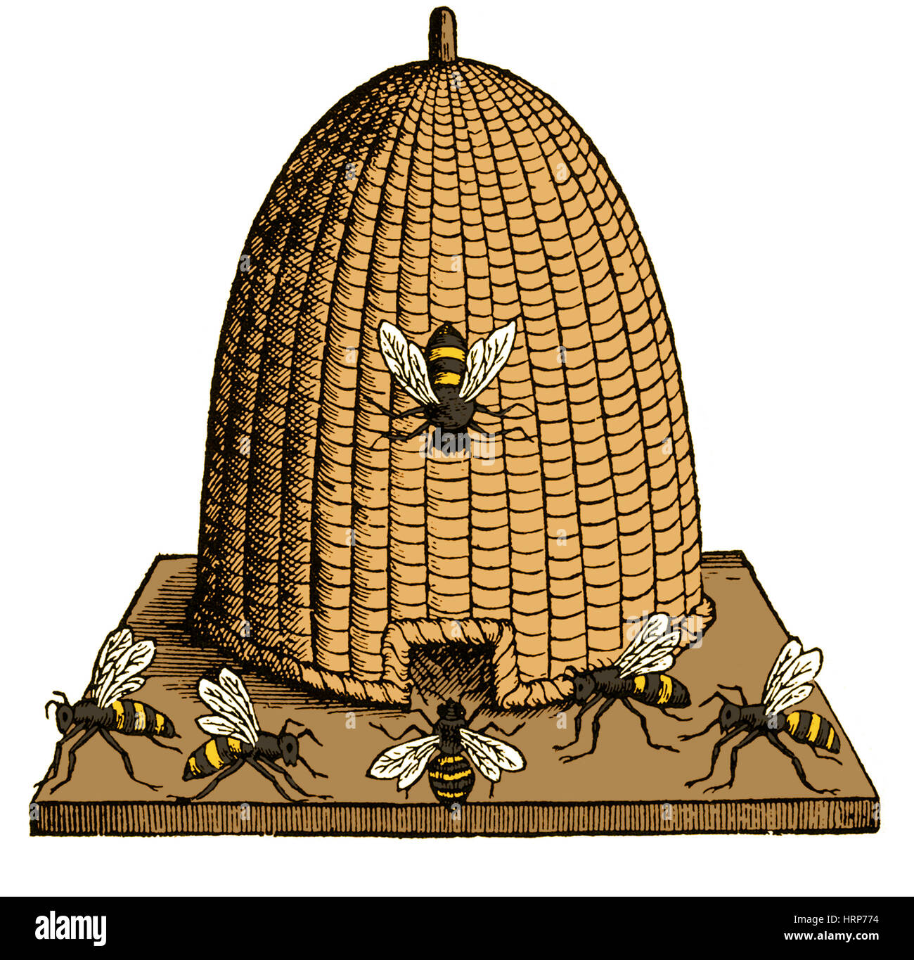 Skep ruche, 17e siècle Banque D'Images