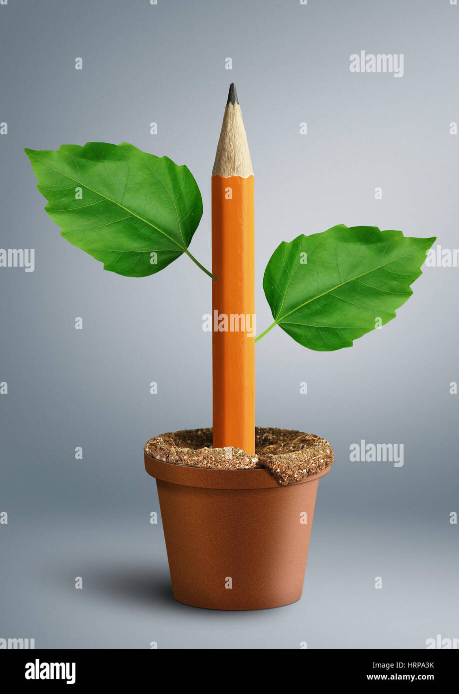 Idée concept créatif, un crayon avec feuilles poussent Banque D'Images
